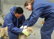 資訊手冊